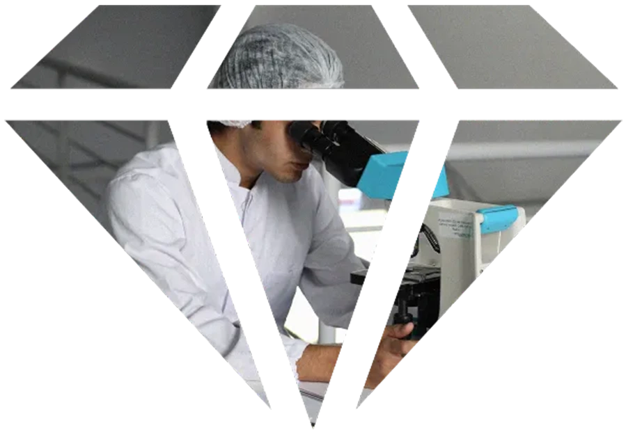 Meta